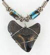 Polished Megalodon Tooth Necklace #43175-1